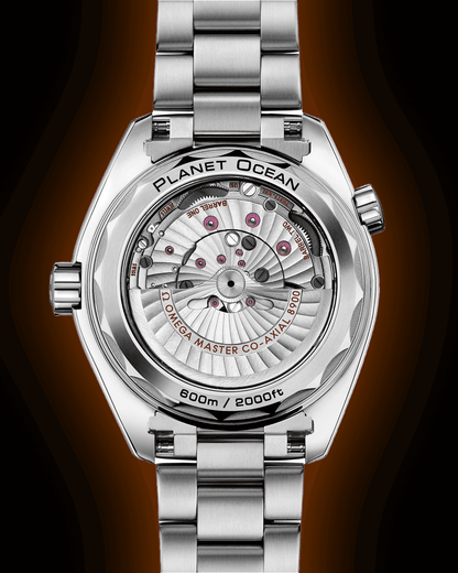 omega-seamaster-planet-ocean-600m-43-5-mm-titanium-on-titanium